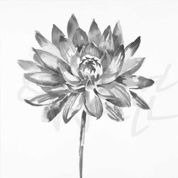 FLORAL & GARDEN - Products