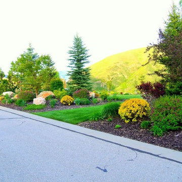 Luxury Outdoor Living Landscape