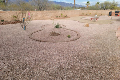 Design ideas for a large full sun backyard decomposed granite landscaping in Phoenix.