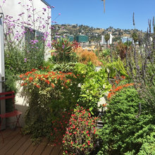 garden in terrace
