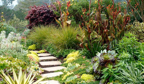 Travailler avec un paysagiste concepteur, mode d'emploi