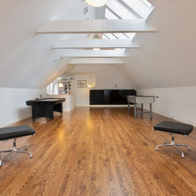 attic master