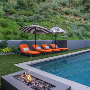 Mandeville Canyon Modern Oasis