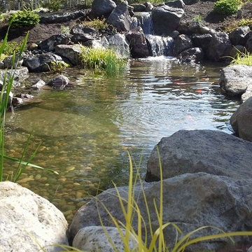 Ponds