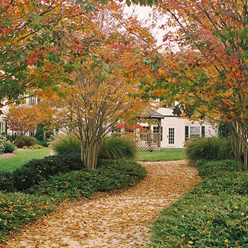 Our Landscape Projects