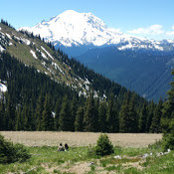 Sarah Baker's photo