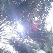 Khaled Mizain's photo