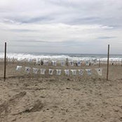 Rumiko Nishimura's photo