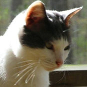 Joan Mazza's photo