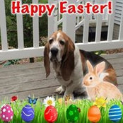 Mary Oelmann's photo