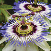 Thomas Mack's photo
