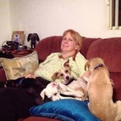 Debbie Suderno's photo
