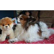 Lisa Cimino's photo