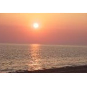 Mandy Meisner's photo