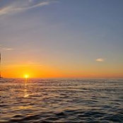 Donna Stephenson's photo