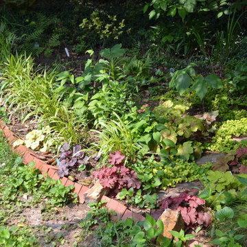 DIY Landscape - Woodland or Shade Gardening