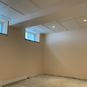 Basement Renovation
