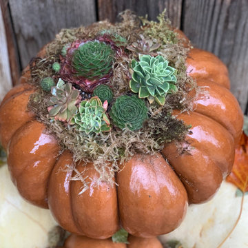 Slow Flowers October 2019 Inspiration: Seasonal Decor with Pumpkins & Gourds