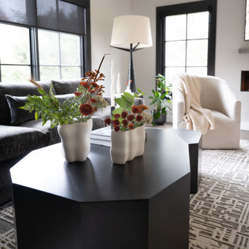 Modern Luxe Living Area