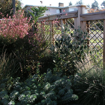Arbors/Pergolas/Fences