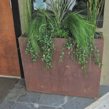 Plantings - Custom