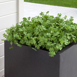AuthenTEAK Lightweight Fiberglass Planters - Outdoor Pots And Planters