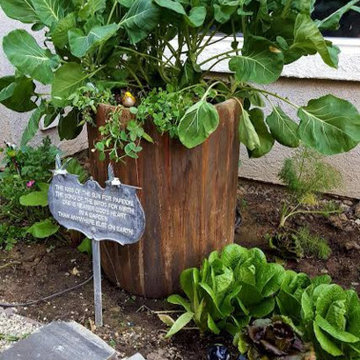 Romantic Vegie Garden Before and After