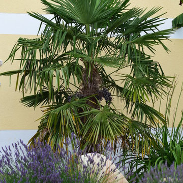 mediterraner Garten in Thüringen