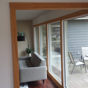 Family Room Picture Windows - Roseville, MN