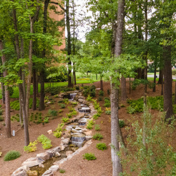 The Dell at the Sharon