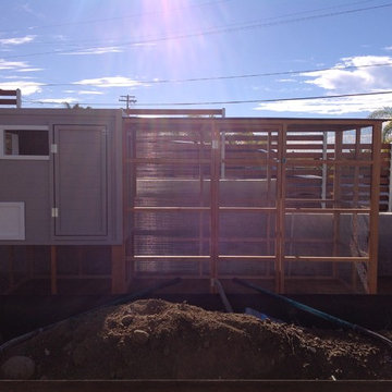 san diego chicken coops