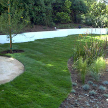 bobashop's backyard ideas