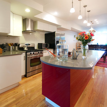 Bohemian Modern Eco-Friendly DC Row House