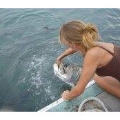 Christina Roddey's photo