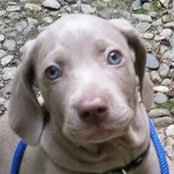 Martha Johnston's photo