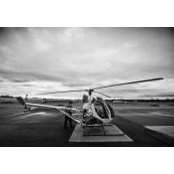 Mischa Gelb's photo