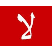 Ahmed ElDessouki's photo
