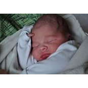 Laurie DeWall's photo