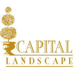 Capital Landscape