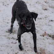 Katie Dean's photo
