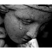Sue Belrose's photo
