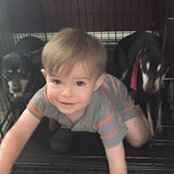 Robert Block's photo