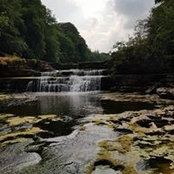 Hayley Smith's photo