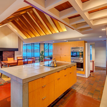 Innovation In Design 2012: Mid-Century Modern Renovation