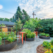 Edible Garden