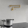 STYLISH Stainless Steel Wall Mount  Pot Filler Folding Stretchable