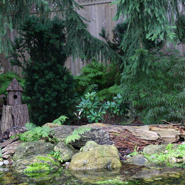 Backyard Pond - 2018 Awards of Excellence Winner