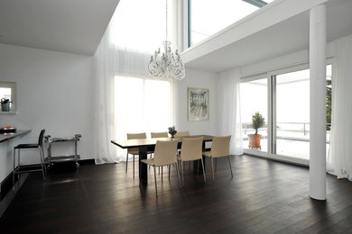 Geräumiges Modernes Esszimmer mit weißer Wandfarbe, dunklem Holzboden und braunem Boden in Sonstige