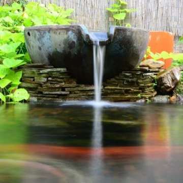 Pond/Waterfall