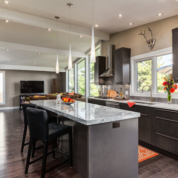 Modern Kitchen Renovation